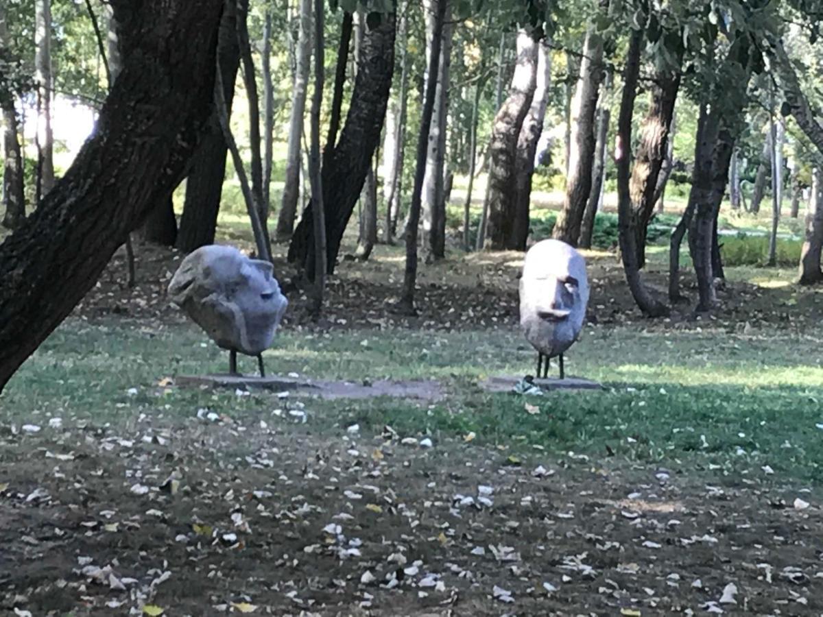 Kasztanowa Apartament Varsavia Esterno foto